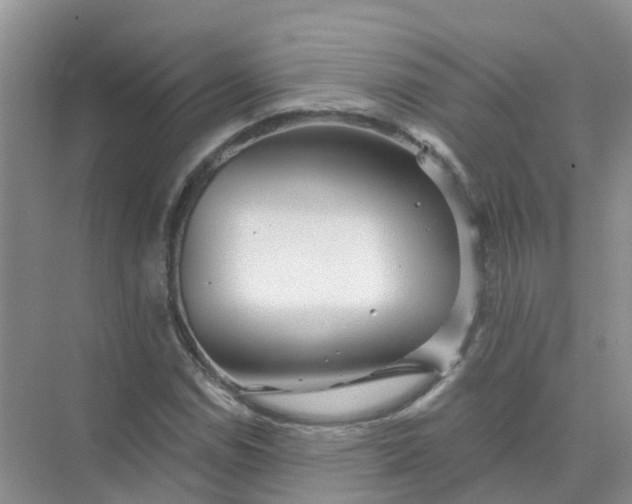 X0000073851114200608311953