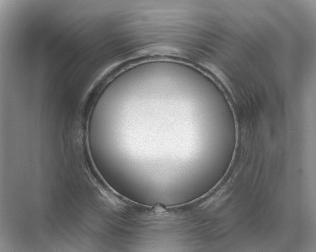 X0000073851115200608311953