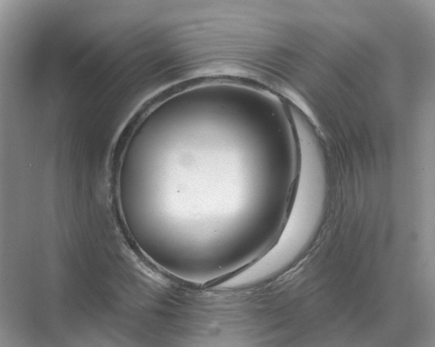 X0000073851116200608311953