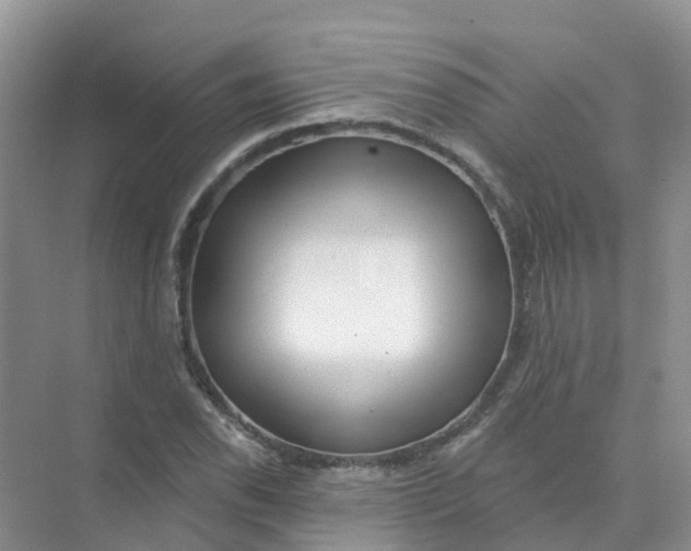 X0000073851118200608311953