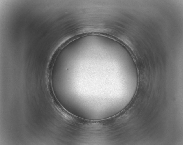 X0000073851119200608311953