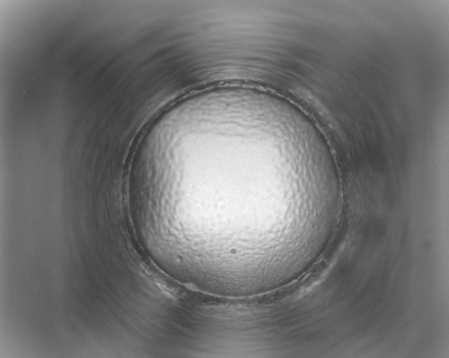 X0000073851121200608311953