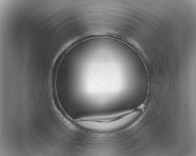 X0000073851122200608311953