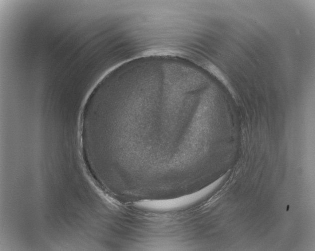 X0000073851124200608311953