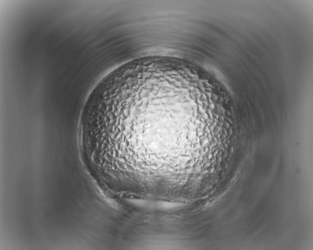 X0000073851125200608311953