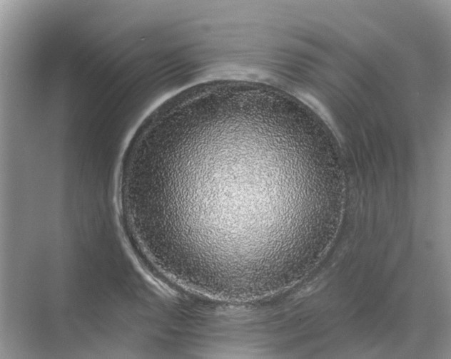 X0000073851128200608311953