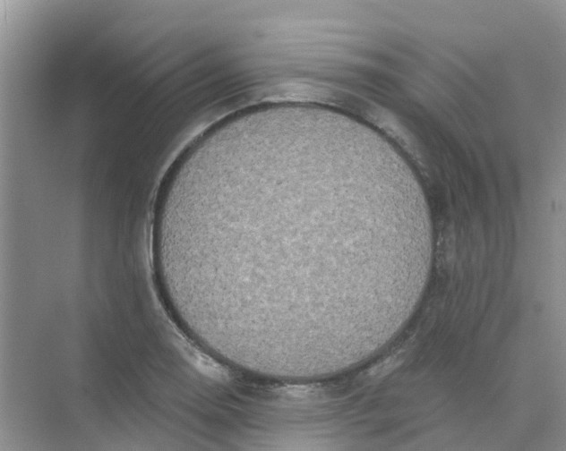 X0000073851130200608311954