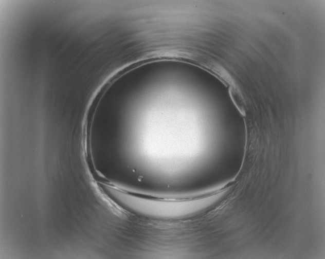 X0000073851132200608311954