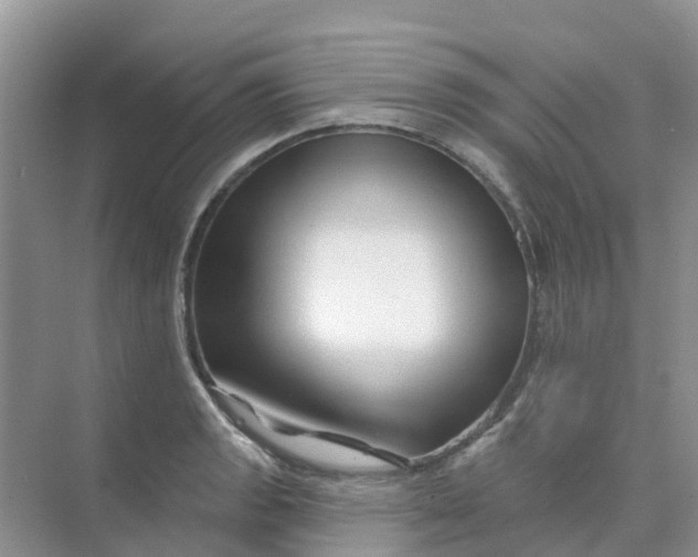 X0000073851133200608311954