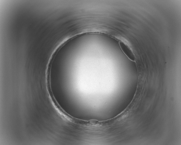 X0000073851135200608311954