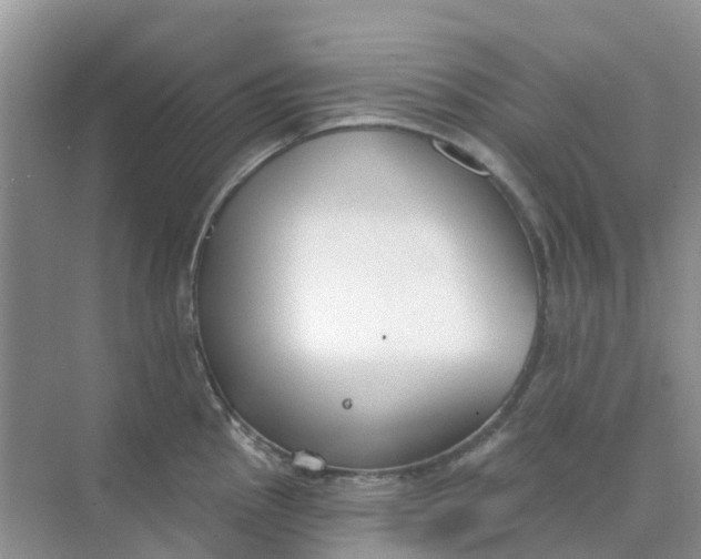 X0000073851145200608311954