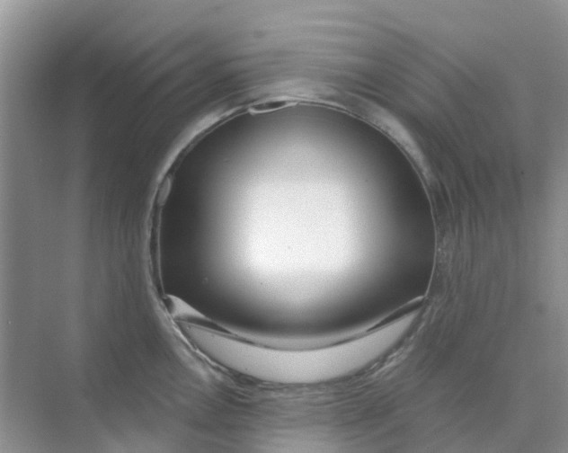 X0000073851146200608311954