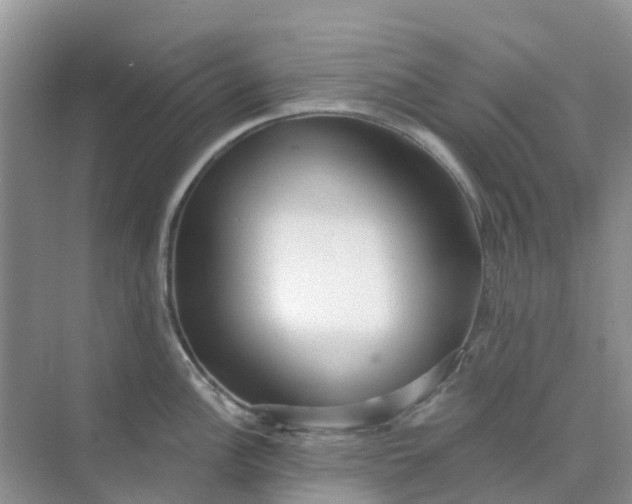 X0000073851148200608311954