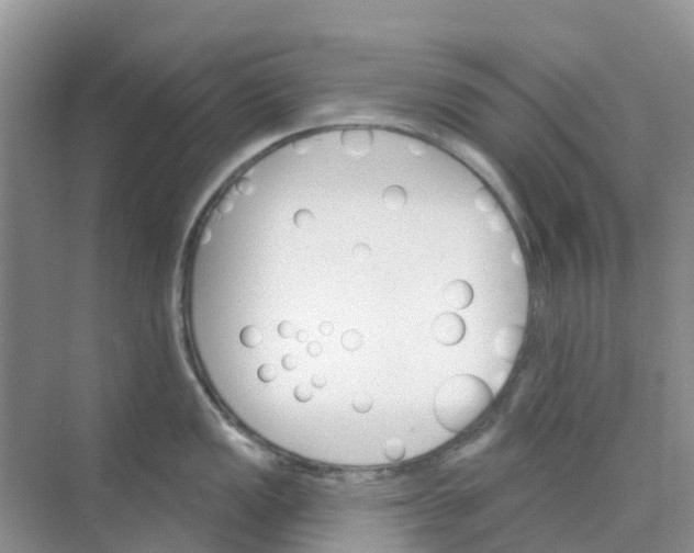 X0000073851149200608311954