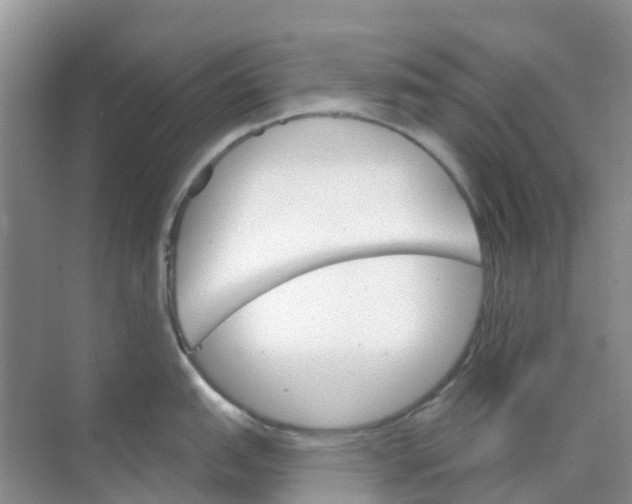 X0000073851151200608311954