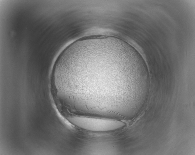 X0000073851152200608311954