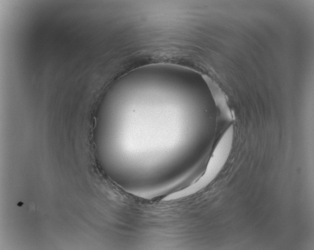 X0000073851153200608311953