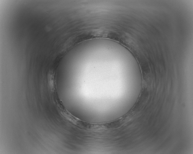 X0000073851154200608311953