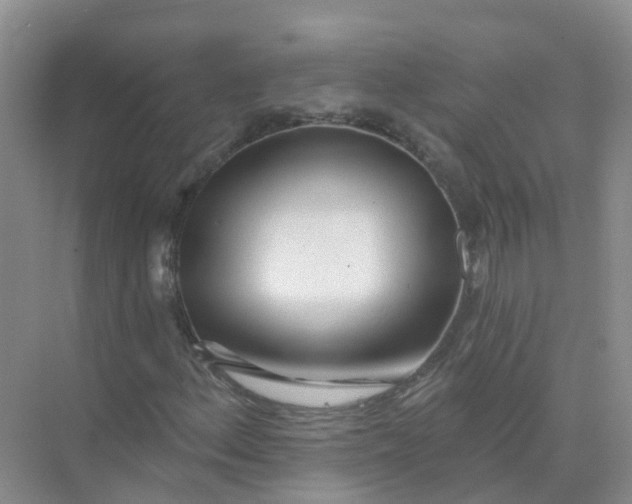 X0000073851156200608311953