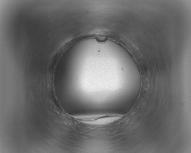 X0000073851158200608311953