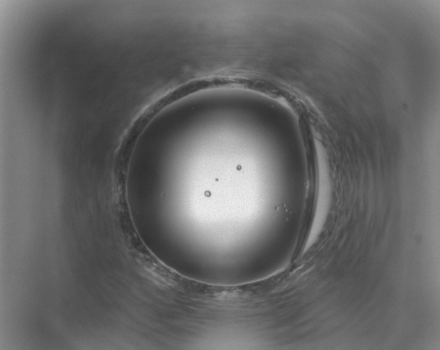 X0000073851160200608311953