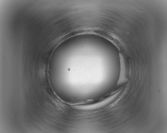 X0000073851161200608311953