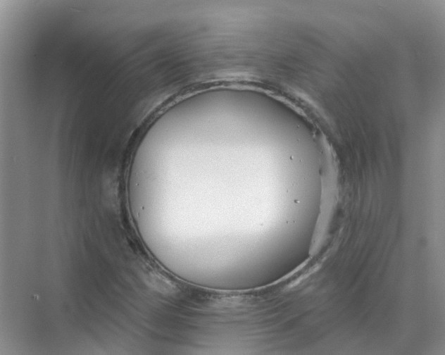 X0000073851162200608311953