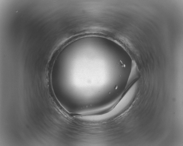 X0000073851164200608311953