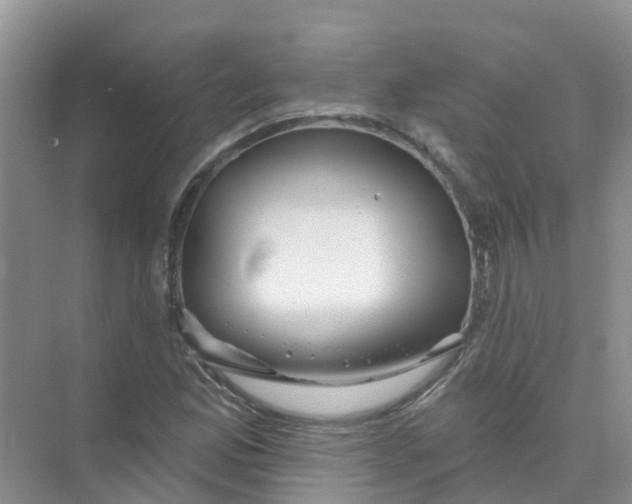 X0000073851165200608311953