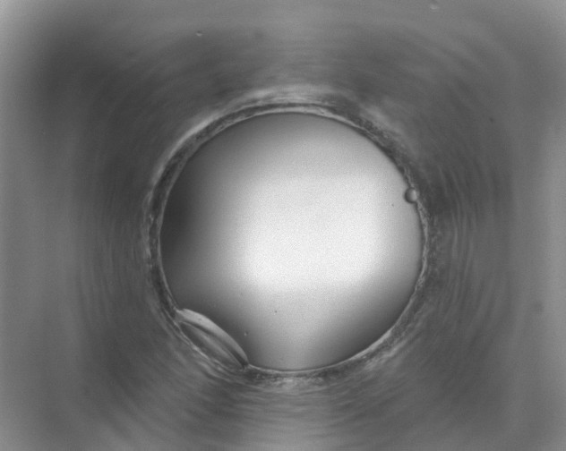 X0000073851166200608311953