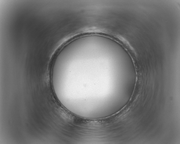 X0000073851167200608311953