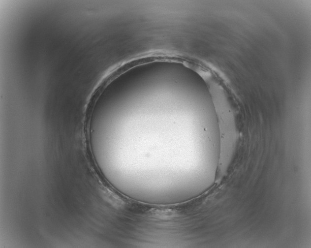 X0000073851168200608311953