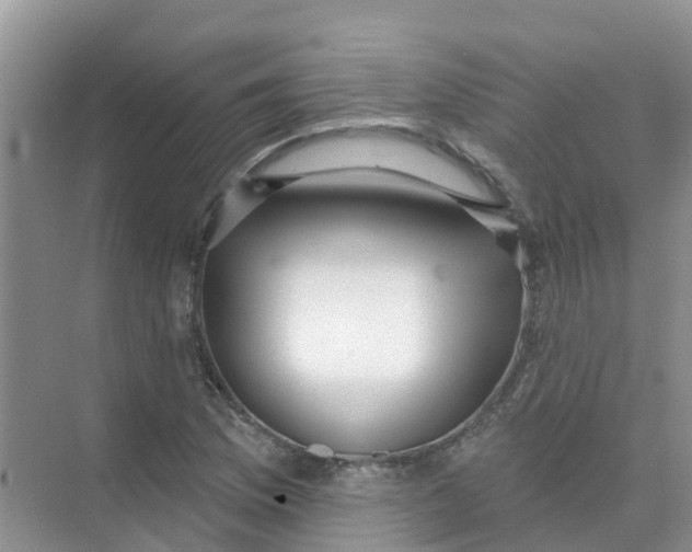 X0000073851169200608311953