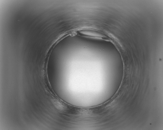 X0000073851170200608311953