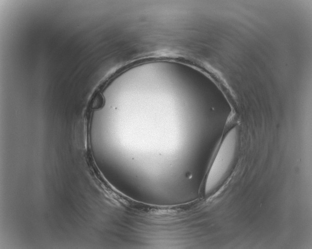 X0000073851171200608311953