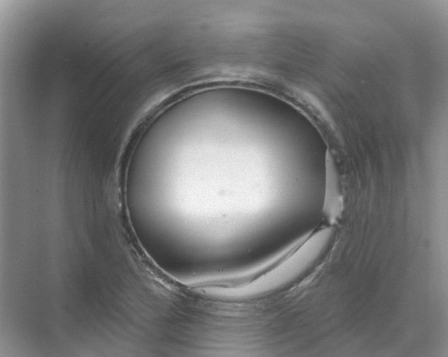 X0000073851172200608311953