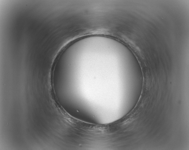 X0000073851174200608311953