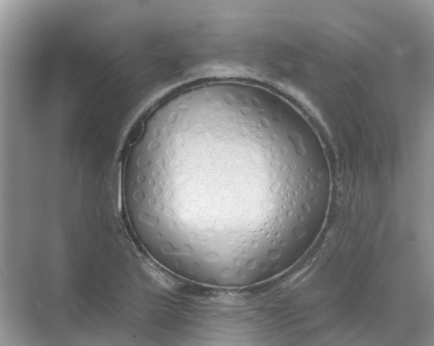 X0000073851175200608311953