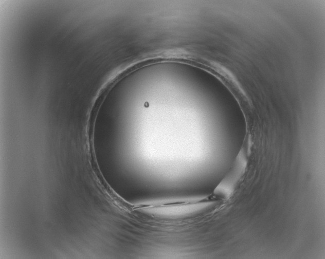 X0000073851176200608311953