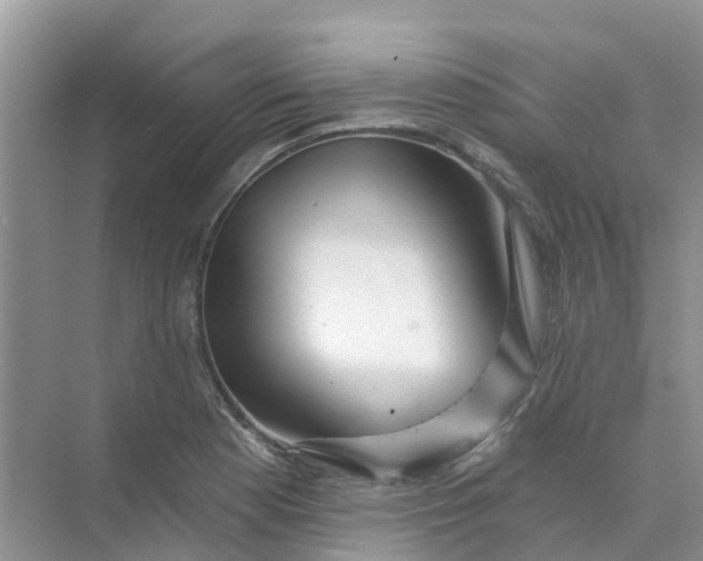 X0000073851177200608311953