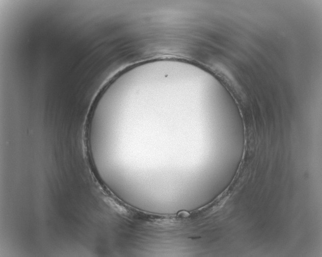 X0000073851182200608311953