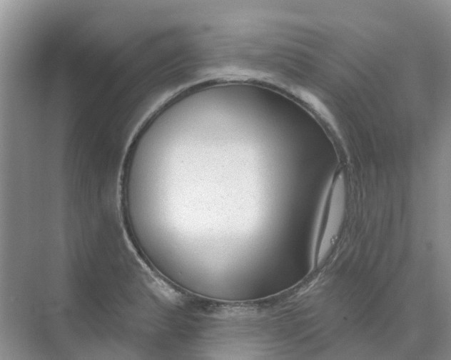 X0000073851183200608311953