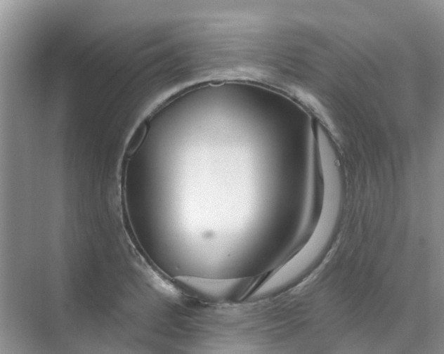 X0000073851184200608311953