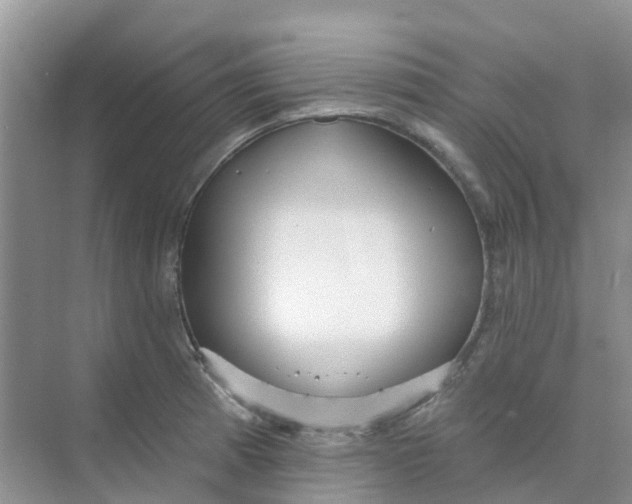 X0000073851185200608311953