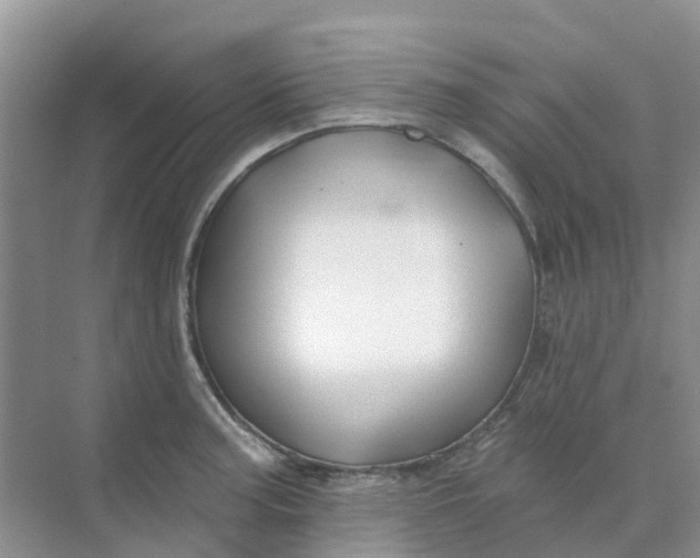 X0000073851187200608311953