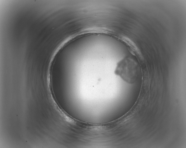 X0000073851188200608311952