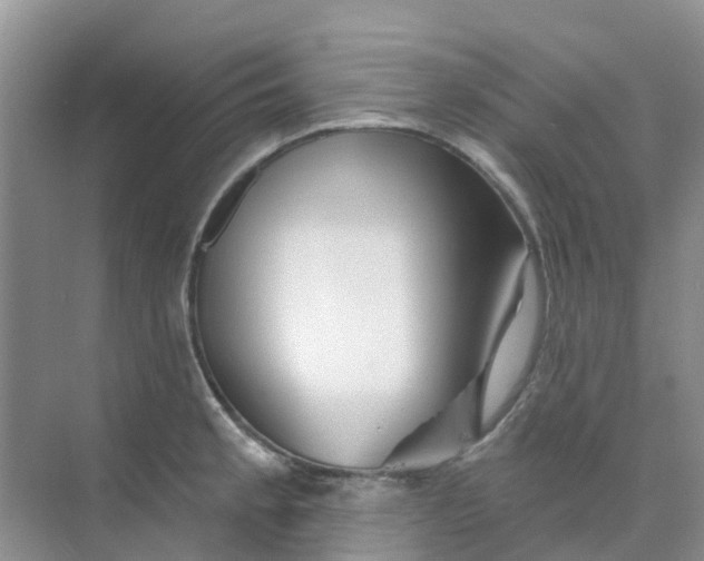 X0000073851189200608311952