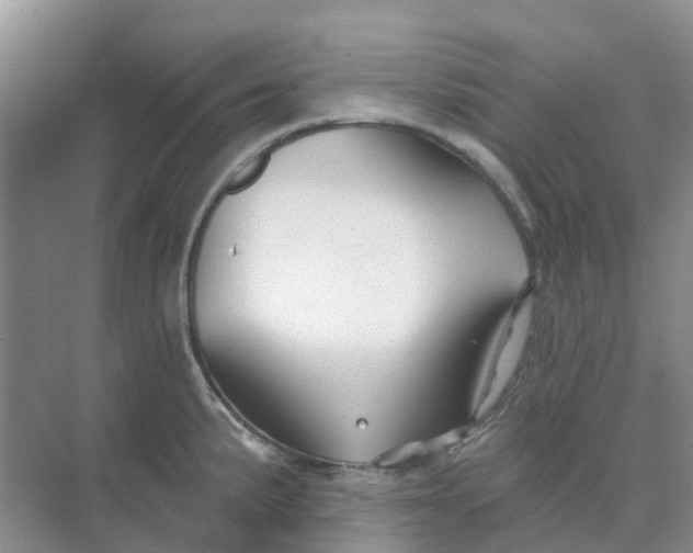 X0000073851191200608311952