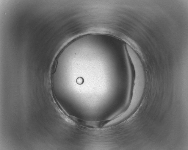 X0000073851192200608311952