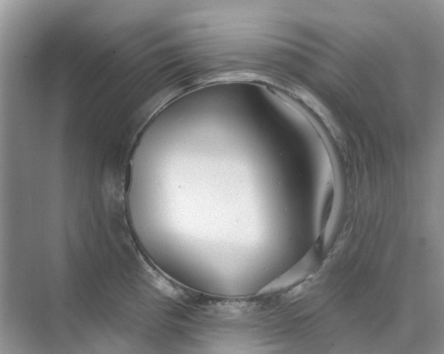 X0000073851193200608311952